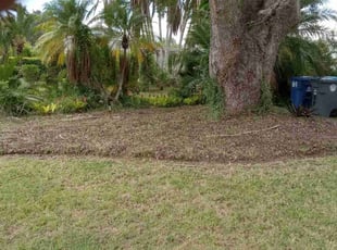 Bush Trimming by Marvel Carmichael for Fanta M. in Winter Park, FL