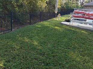 Beatrice G.'s Lawn Maintenance service result