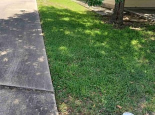 Barbara Y.'s Lawn Mowing service result