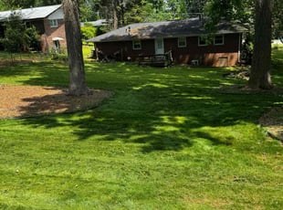 Mitchell M.'s Lawn Service service result