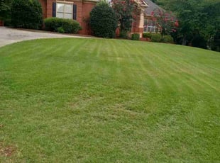 Cherlyn T.'s Lawn Care service result