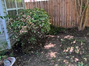 Bush Trimming by Nile Owens for Sharon S. in Raleigh, NC