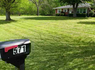 Brenda M.'s Lawn Mowing service result