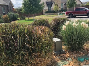 Bush Trimming by Juan Vazquez for Corey M. in San Antonio, TX