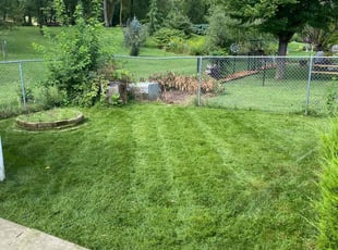 Mia C.'s Lawn Service service result