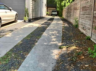 Leaf Removal by Ben Mascorro for Jackie H. in Austin, TX