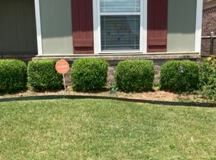 Bush Trimming by Michael Boomershine for Rhea A. in Owasso, OK