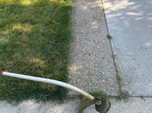 Bianca S.'s Grass Cutting service result