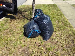Cleanups by Rayshawn Martin for Nichlaus W. in Euclid, OH