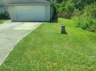 Janine C.'s Lawn Maintenance service result