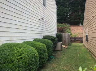 Bush Trimming by Louis Sampson for Shirley D. in Marietta, GA