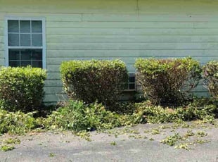 Vonzedric S.'s Bush Trimming service result