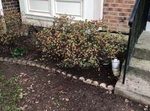 Cleanups by Donald Tucker for Jason R. in Woodbridge, VA