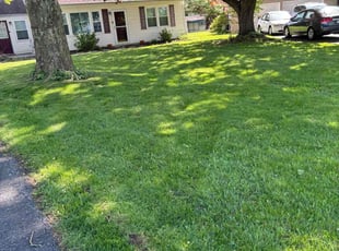 Marlene w.'s Lawn Care service result
