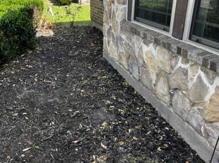 Weeding by Jose Gil for Jordan W. in Pearland, TX