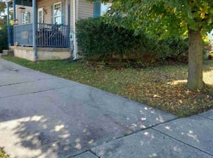 Bush Trimming by Kiara Payne for Danielle D. in Harrison Township, NJ