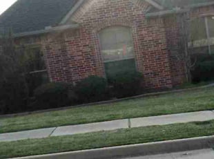 Bush Trimming by Amy Delarosa for Margaret J. in Sherman, TX