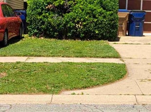 Bush Trimming by William Beacham for Cynthia S. in Wichita, KS