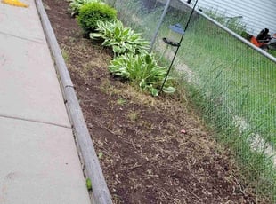 Weeding by Ronnie Anderson for Sheryl C. in West Allis, WI