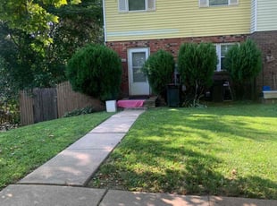 Frank C.'s Lawn Maintenance service result