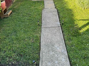 Edward M.'s Yard Cutting service result