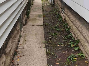 Leaf Removal by Robert Dowdy for Jadah c. in Milwaukee, WI