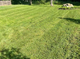 Hannah Z.'s Lawn Mowing service result