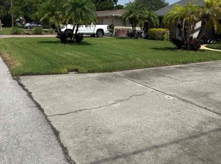 Larry P.'s Yard Cutting service result