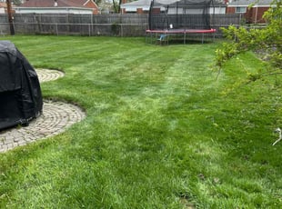 Cleanups by John Hellems for Carolyn M. in Warren, MI