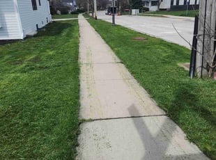 Troy T.'s Lawn Care service result