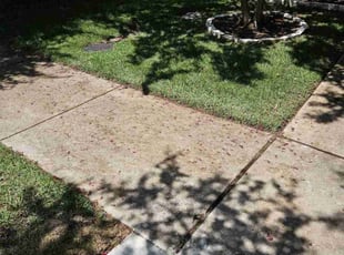 Daniel M.'s Lawn Mowing service result