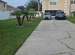 steve b.'s Grass Cutting service result