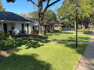 Cleanups by Thomas Foster for Allison M. in Houston, TX