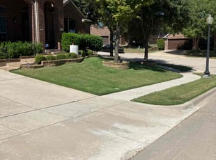 Tasha B.'s Yard Cutting service result