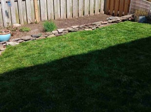 Weeding by Jose Murcia for Lori S. in Manassas, VA