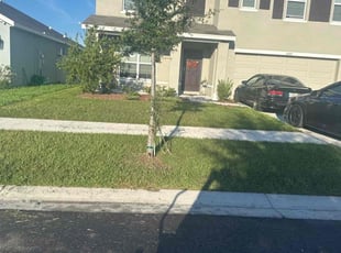 Scott W.'s Lawn Mowing service result