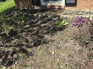 Weeding by Stephen Sheldon for Brandon H. in Cincinnati, OH