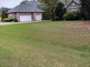 Cleanups by Melvyn Webb for Al J. in Huntsville, AL