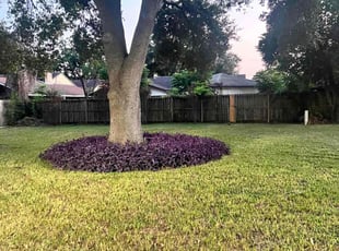 Laura N.'s Lawn Care service result