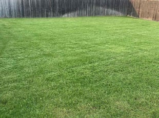 Shavar R.'s Lawn Mowing Service service result