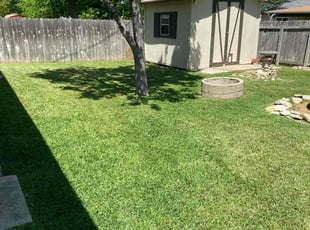Evan L.'s Grass Cutting service result