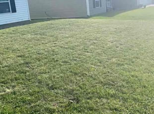 Harshil P.'s Lawn Mowing service result