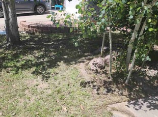 Cleanups by Ruben Candelario for Jon B. in Colorado Springs, CO