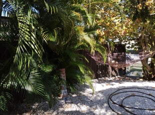 Bush Trimming by Robert Lee for Walter R. in Siesta Key, FL