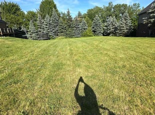 Donna S.'s Lawn Maintenance service result
