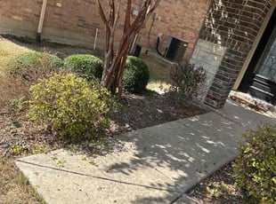 Bush Trimming by Patrick Stewart for Olayemi S. in Prosper, TX