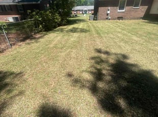 Cece R.'s Lawn Service service result