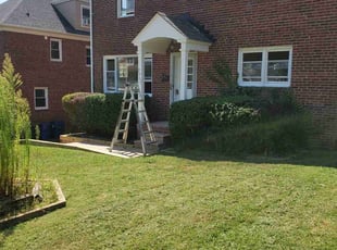Bush Trimming by James Young for Monty R. in Baltimore, MD