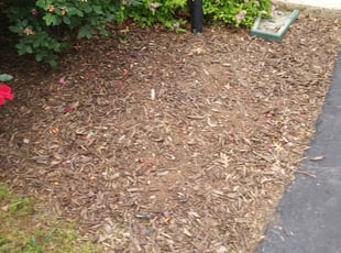 Weeding by William Mills for Yves M. in Gainesville, VA