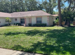 Patricia B.'s Grass Cutting service result